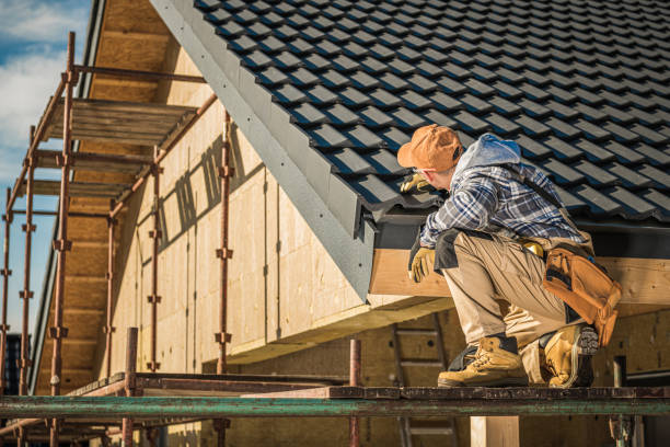 Best Solar Panel Roofing Installation  in St Jaco, IL