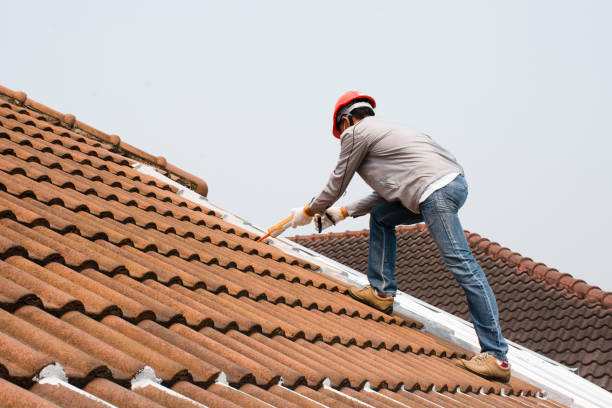 Best Roof Coating and Sealing  in St Jaco, IL